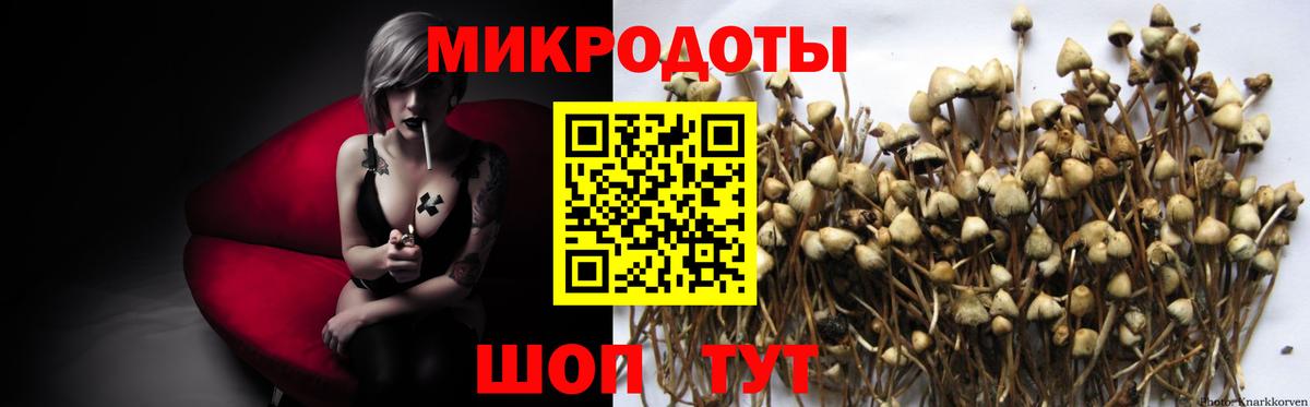 Новокуйбышевск  Галлюциногенные грибы мицелий  Вход с VPN 